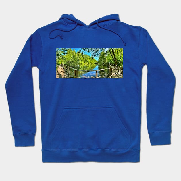 Pond in May Hoodie by Evgeniya